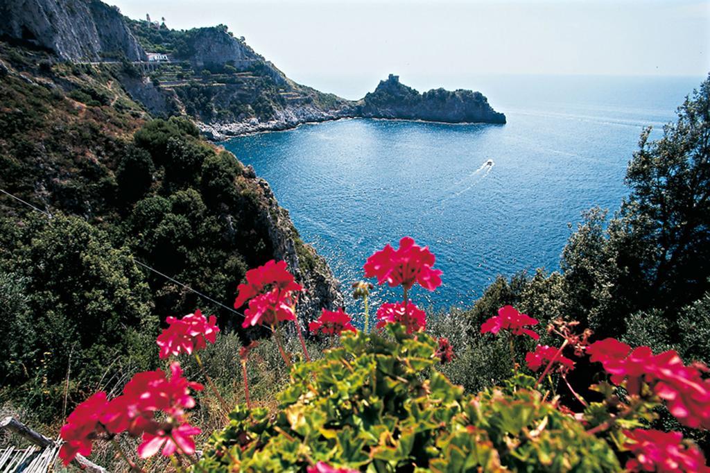 Salerno Prestige Apartment Dış mekan fotoğraf